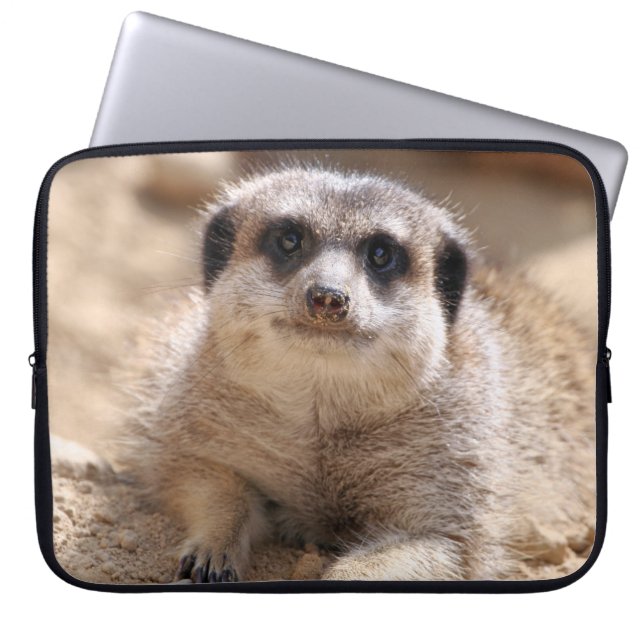 Meerkat 174 laptopschutzhülle (Vorderseite)