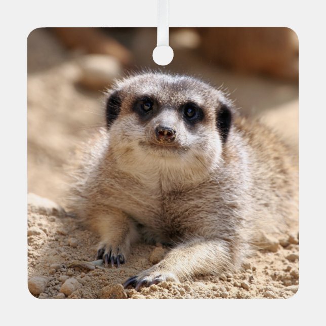 Meerkat 174 ornament aus metall (Vorderseite)