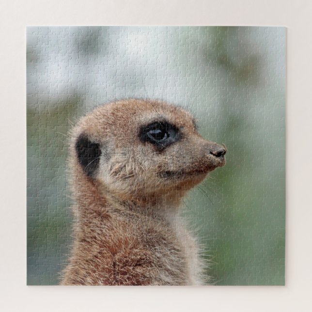 Meerkat 180 puzzle (Vertikal)