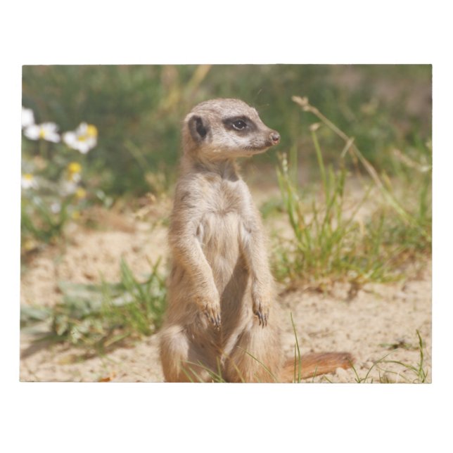 Meerkat 2014-0901 notizblock (Vorderseite)