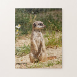 Meerkat 2014-0901 puzzle
