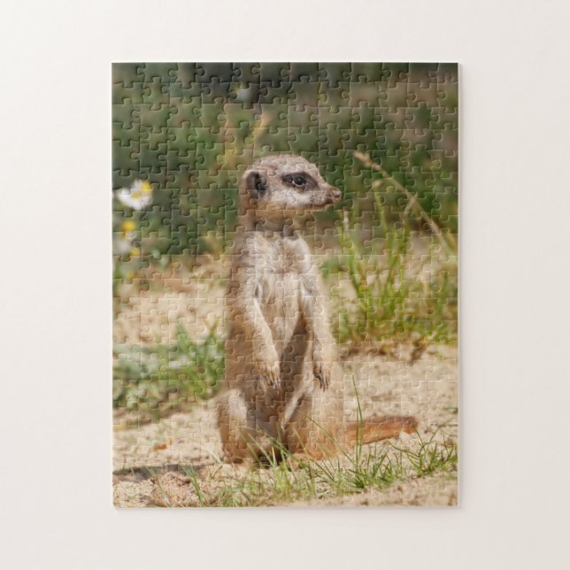 Meerkat 2014-0901 puzzle (Vertikal)