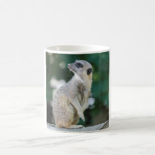 Meerkat_2015_0103 Tasse