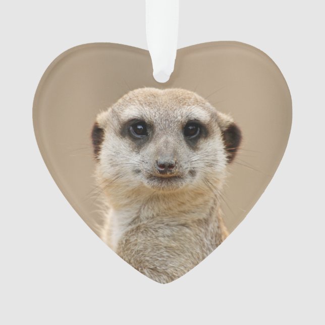 Meerkat_2015_0211 Ornament (Vorderseite)
