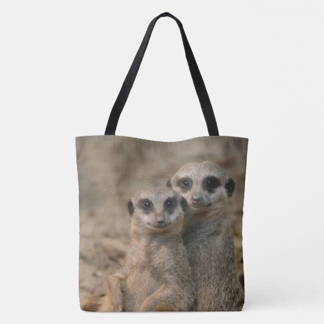 Meerkat_20170901_by_JAMFoto (Rückseite)