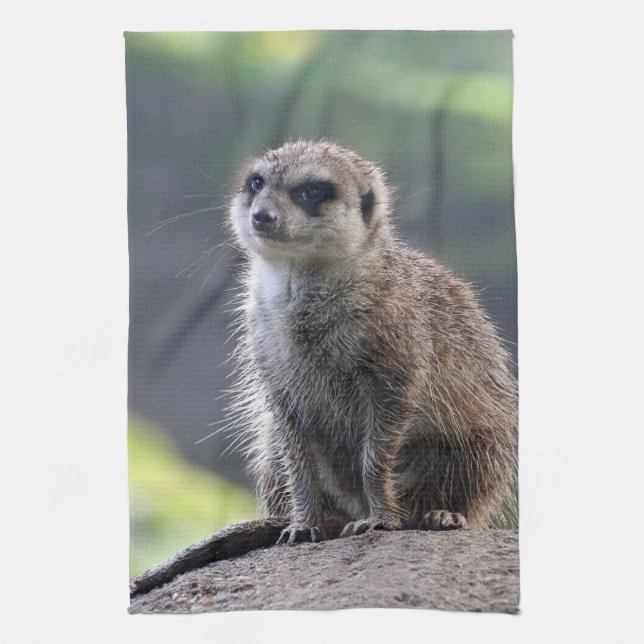 Meerkat_20171101_by_JAMFoto Geschirrtuch (Vertikal)