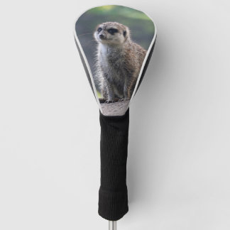 Meerkat_2019001 Golf Headcover