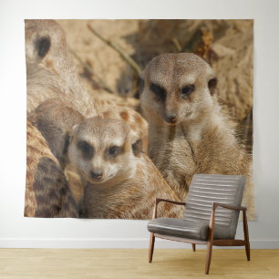 Meerkat 39 wandteppich