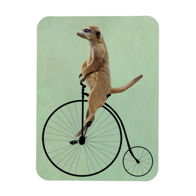Meerkat auf Black Penny Farthing 2 Magnet (Vertikal)