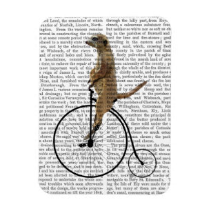 Meerkat auf Black Penny Farthing Magnet