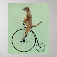 Meerkat auf Black Penny Farthing