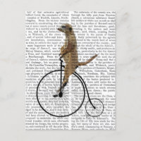 Meerkat auf Black Penny Farthing