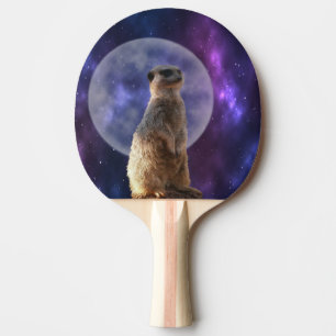Meerkat auf Blue Moonlight Night Watch, Tischtennis Schläger