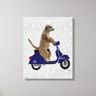 Meerkat auf Dark Blue Moped Leinwanddruck