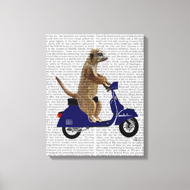 Meerkat auf Dark Blue Moped Leinwanddruck (Vorderseite)