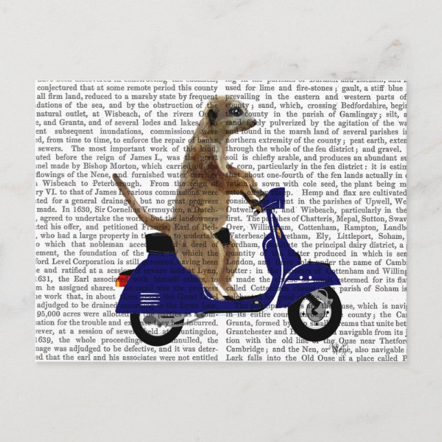Meerkat auf Dark Blue Moped Postkarte (Vorderseite)