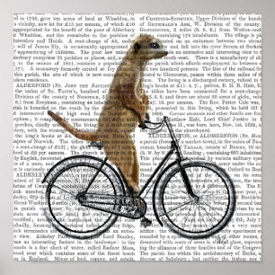 Meerkat auf dem Fahrrad Poster
