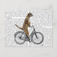 Meerkat auf dem Fahrrad
