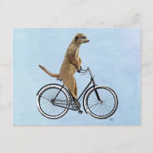 Meerkat auf Fahrrad 2 Postkarte