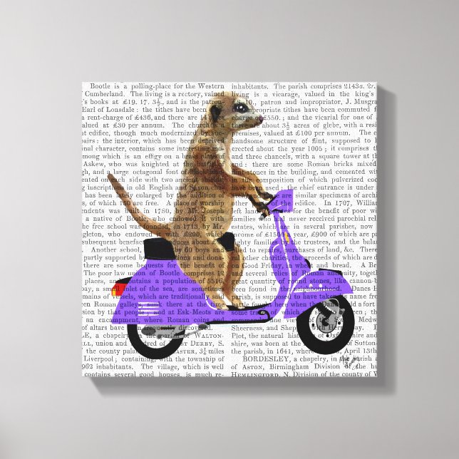 Meerkat auf Lilac Moped Leinwanddruck (Vorderseite)