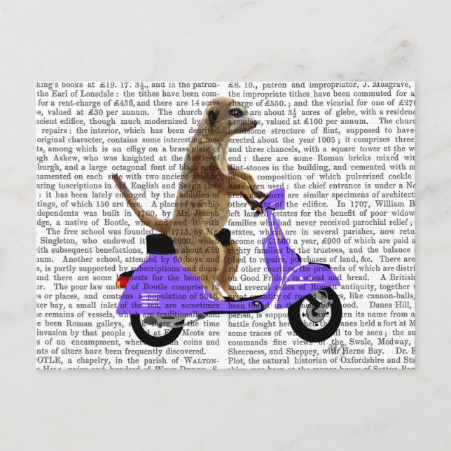 Meerkat auf Lilac Moped Postkarte (Vorderseite)