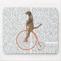 Meerkat auf Orange Penny Farthing
