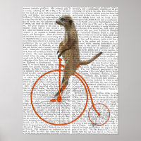 Meerkat auf Orange Penny Farthing