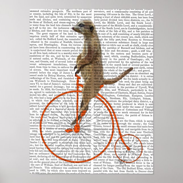 Meerkat auf Orange Penny Farthing Poster (Vorne)