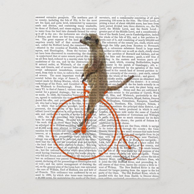 Meerkat auf Orange Penny Farthing Postkarte (Vorderseite)