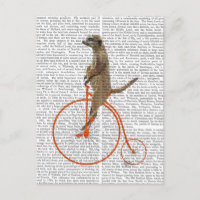 Meerkat auf Orange Penny Farthing