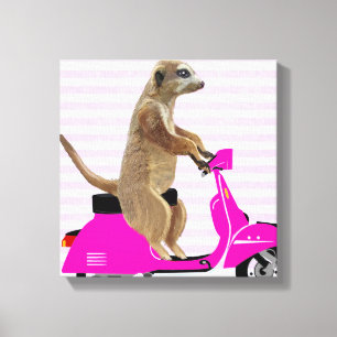 Meerkat auf rosa Moped Leinwanddruck