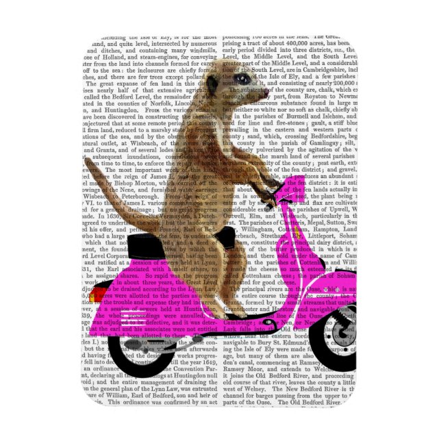 Meerkat auf rosa Moped Magnet (Vertikal)