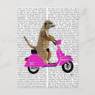 Meerkat auf rosa Moped Postkarte