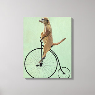 Meerkat auf schwarzem Penny-Farthing Leinwanddruck