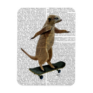 Meerkat auf Skateboard 2 Magnet