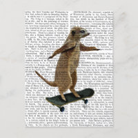 Meerkat auf Skateboard 2