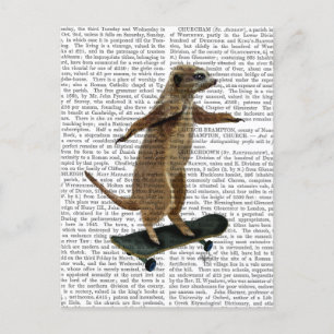 Meerkat auf Skateboard 2 Postkarte