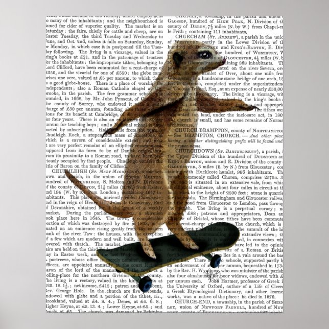 Meerkat auf Skateboard Poster (Vorne)