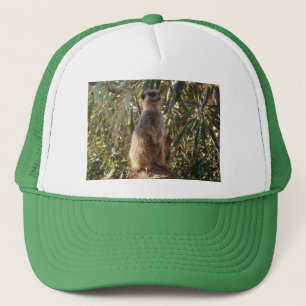 Meerkat auf Wachdienst, Truckerkappe