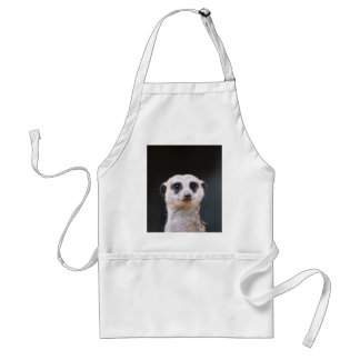Meerkat Ausblick Schürze
