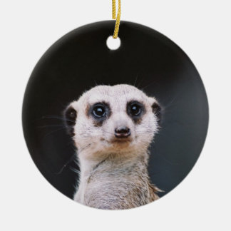 Meerkat Ausblick-Verzierung Keramikornament