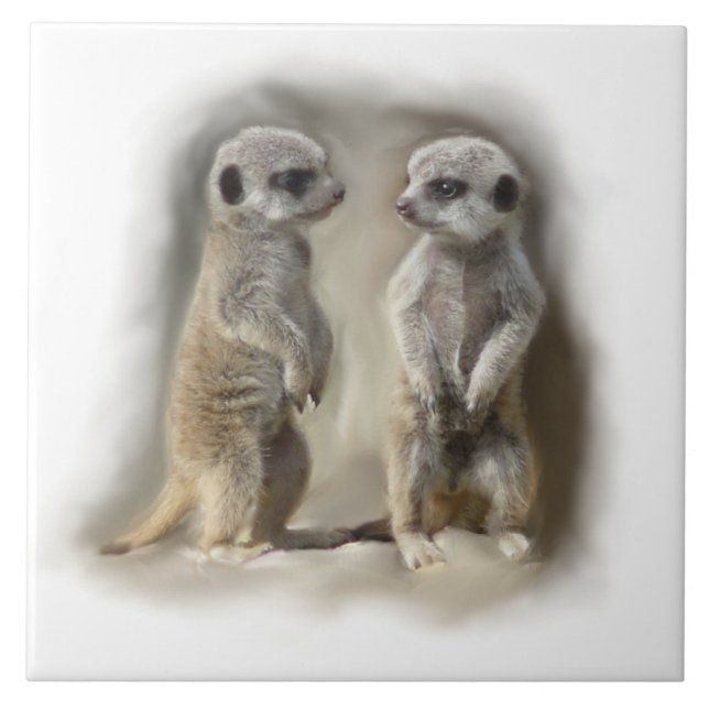 meerkat Babys Fliese (Vorderseite)