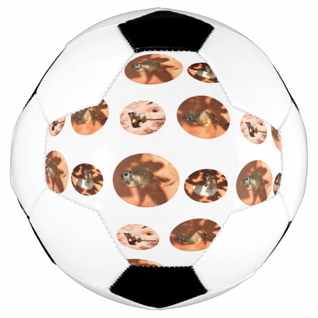 Meerkat Ball Shape, Fußball (Vorderseite)