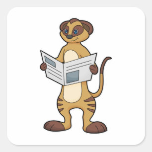 Meerkat bei Reading a Newspapier Quadratischer Aufkleber