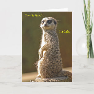 Meerkat Belated Birthday Card Karte
