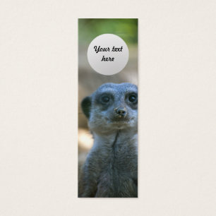 Meerkat Benutzerdefiniertes Lesezeichen