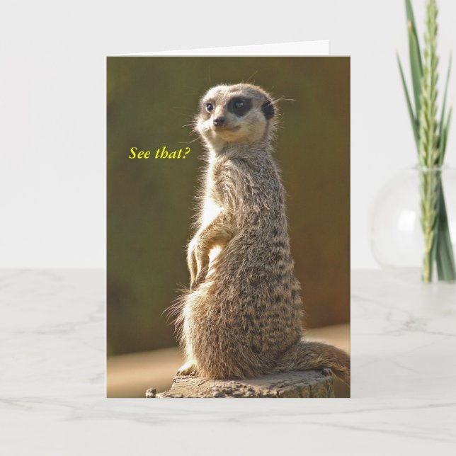 Meerkat Birthday Card Sehen Sie das? c Karte (Vorderseite)
