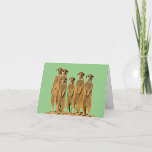Meerkat Blank Greeting Card Karte