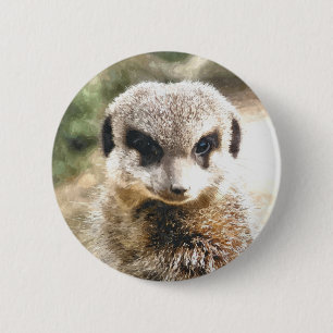 MEERKAT BUTTON