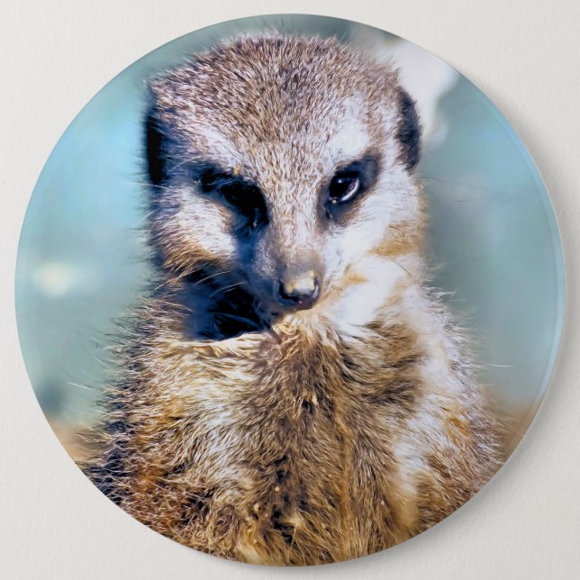 MEERKAT BUTTON (Vorderseite)